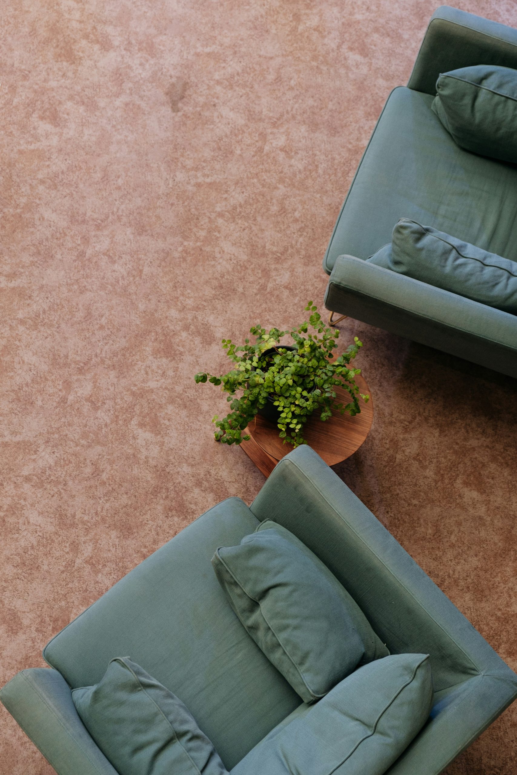office-carpet-scaled-1.jpg