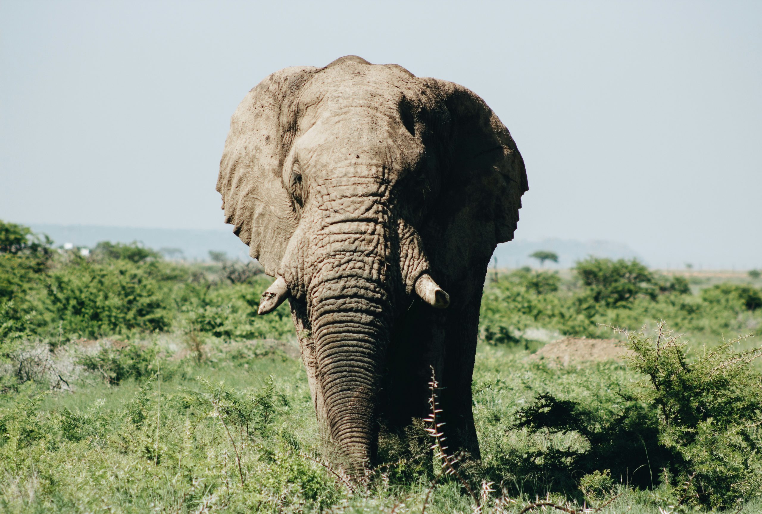 wade-lambert-7-OSKMQl2u4-unsplash-scaled-1.jpg
