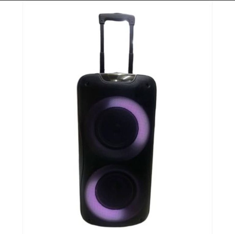 speaker